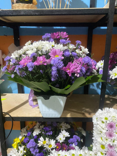 Toko Bunga Terbesar King Florist kantorwalikotapalangkaraya – Pilihan Utama Florist Profesional di K