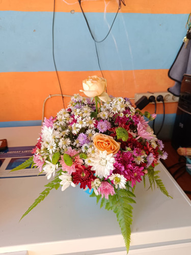 Bunga Meja kantorwalikotapalangkaraya